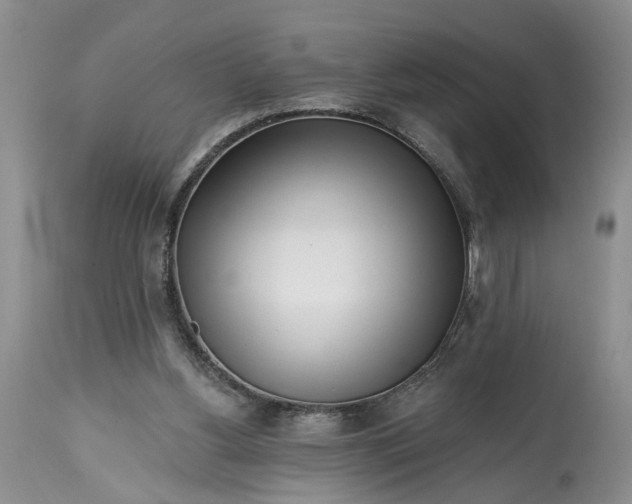 X0000114200156200910231351