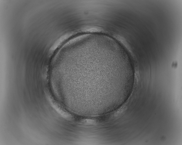 X0000114200159200910231351