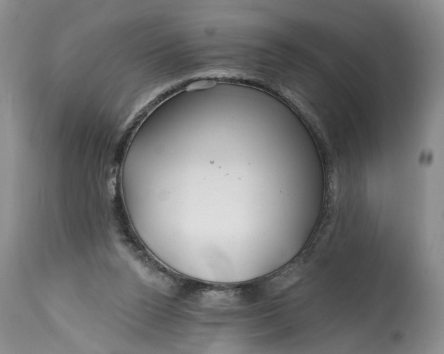 X0000114200160200910231351