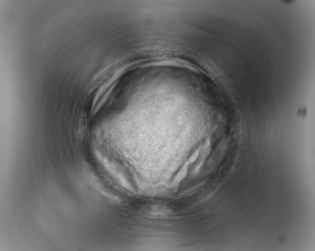 X0000114200165200910231351