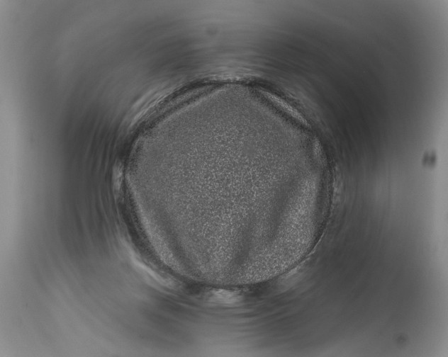 X0000114200166200910231351