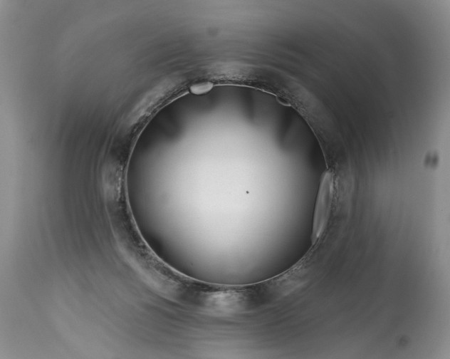 X0000114200168200910231352