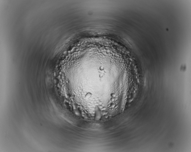 X0000114200169200910231352