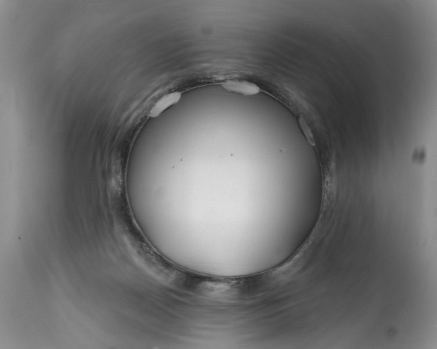 X0000114200170200910231352