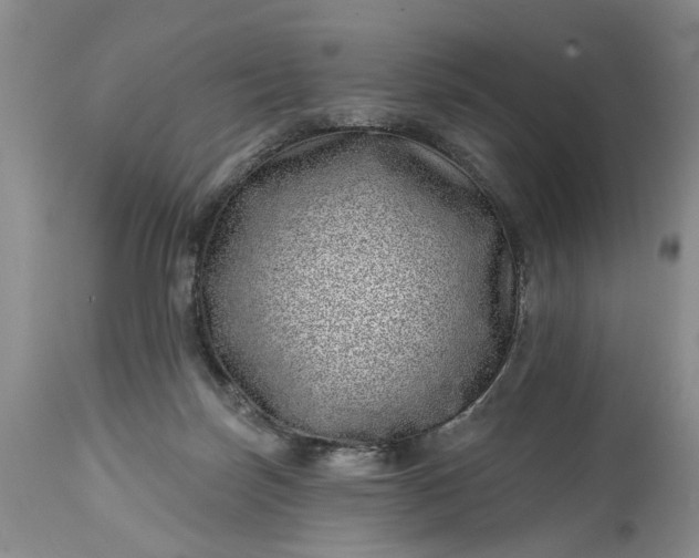 X0000114200171200910231352