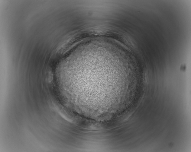 X0000114200173200910231352