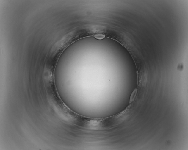 X0000114200176200910231352