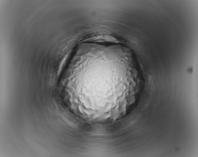 X0000114200177200910231352