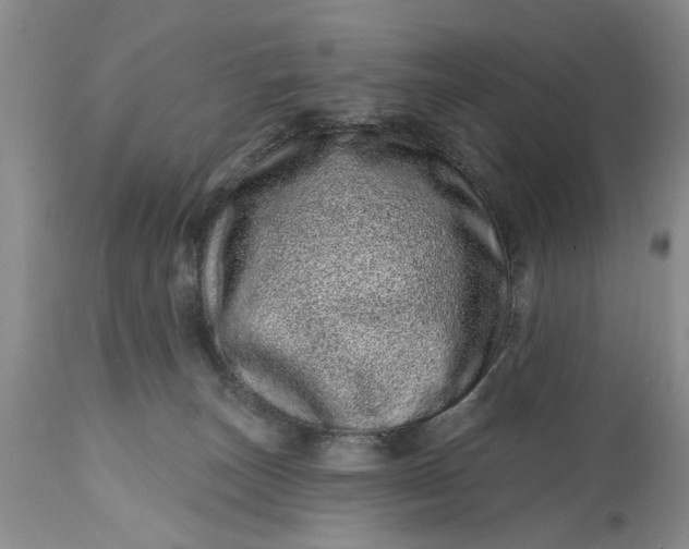 X0000114200179200910231352