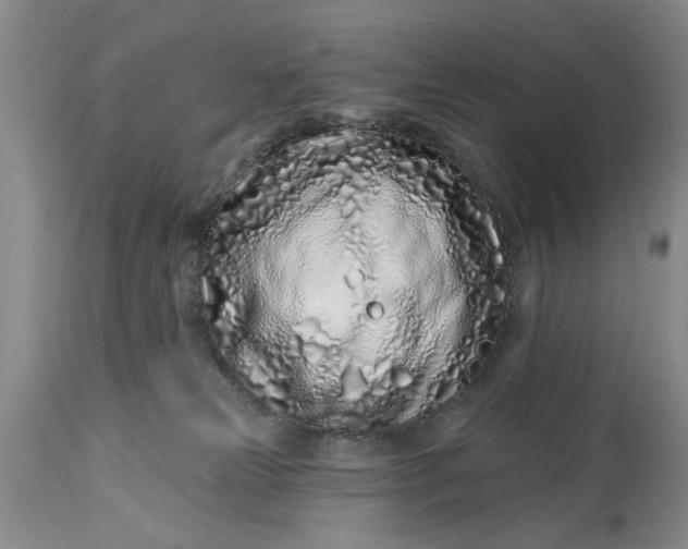 X0000114200181200910231352