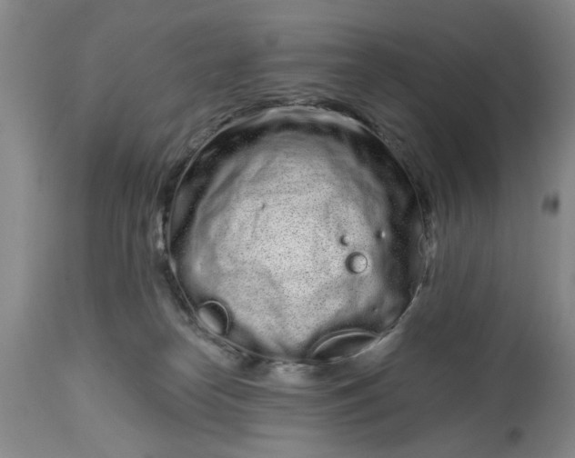 X0000114200182200910231352