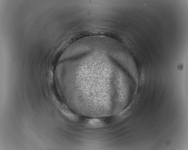 X0000114200183200910231352