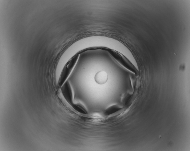 X0000114200184200910231352