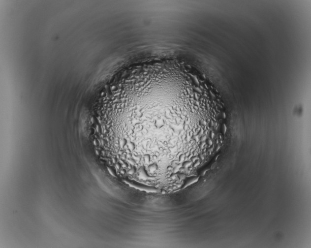 X0000114200185200910231352