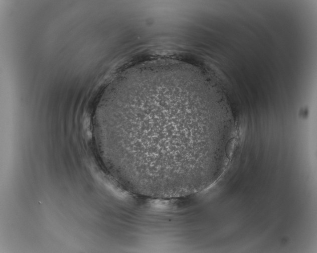 X0000114200187200910231352