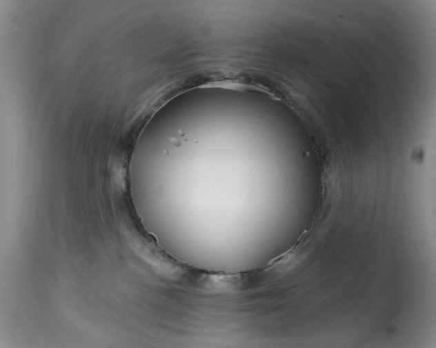 X0000114200188200910231352