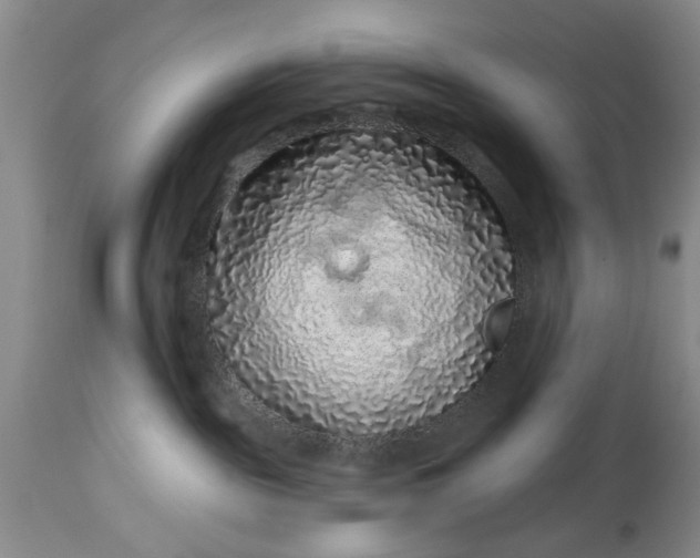 X0000114200189200910231352