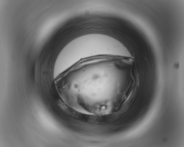 X0000114200190200910231352