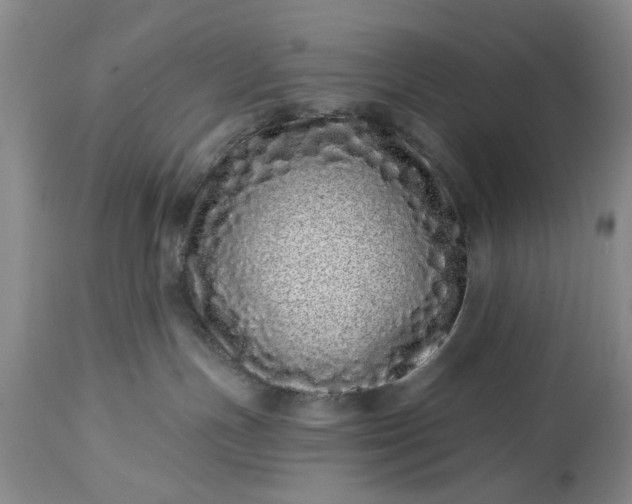 X0000114200191200910231352