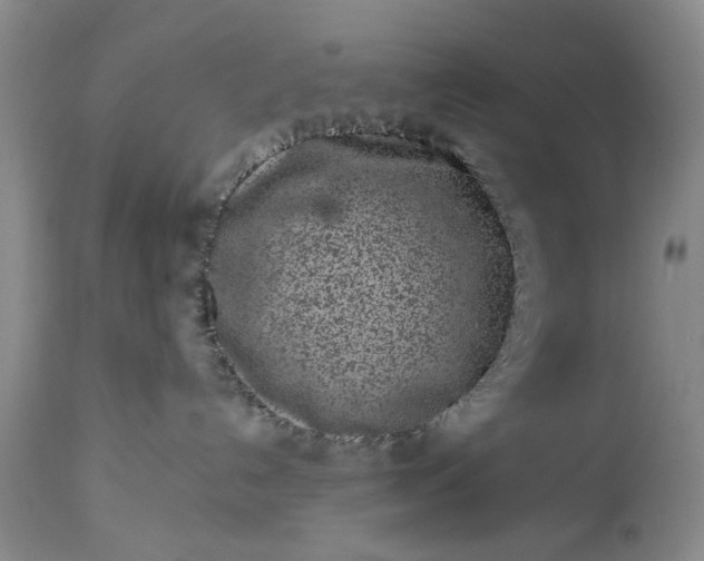 X0000114200192200910231352