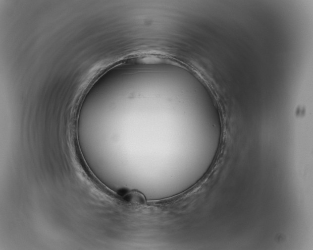 X0000114200193200910231351