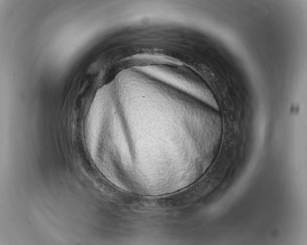 X0000114200194200910231351