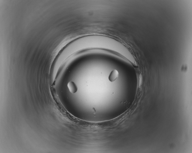 X0000114200195200910231351