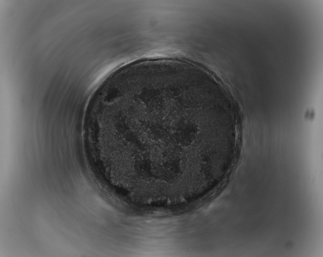 X0000114200196200910231351