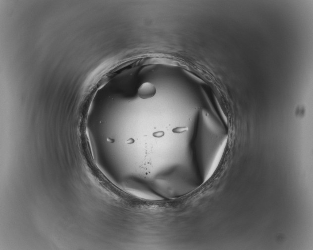 X0000114200197200910231351