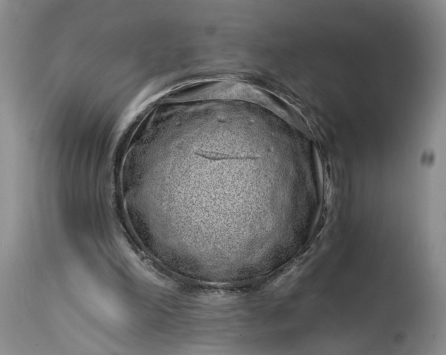 X0000114200198200910231351