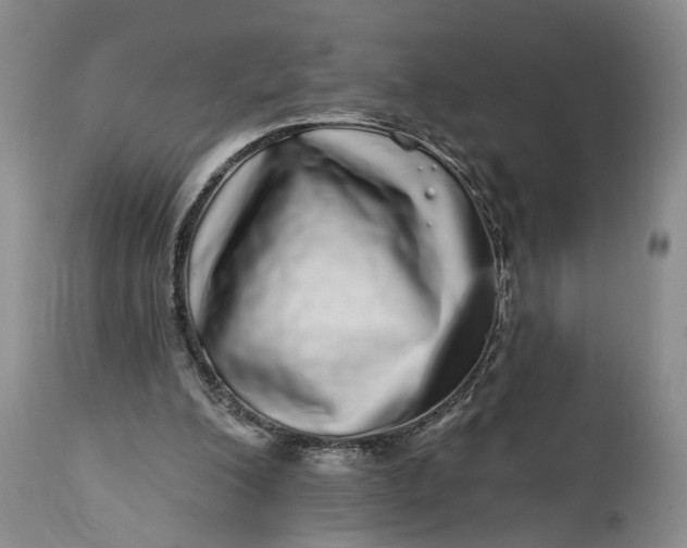 X0000114200200200910231351