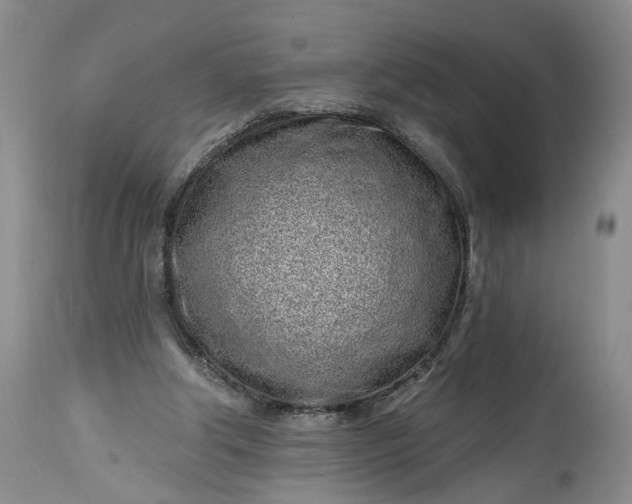 X0000114200202200910231351