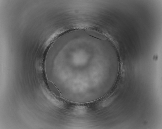 X0000114200203200910231351