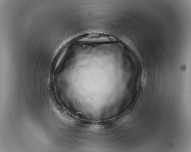 X0000114200204200910231351