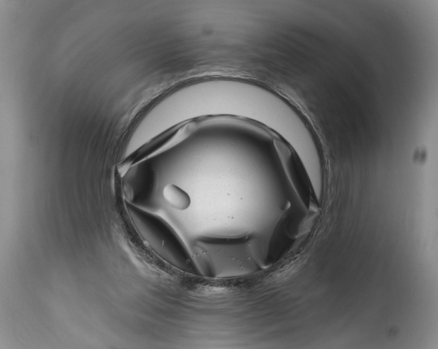 X0000114200205200910231351