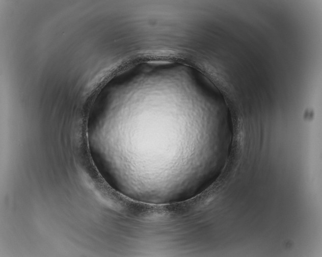 X0000114200206200910231351