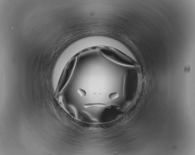 X0000114200209200910231351