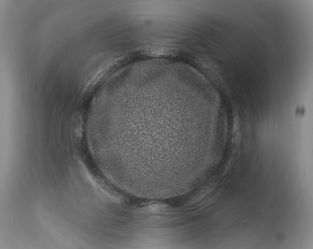 X0000114200210200910231351