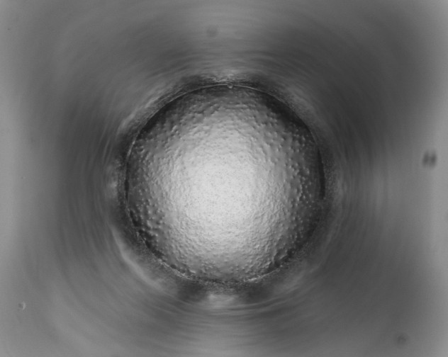 X0000114200214200910231351