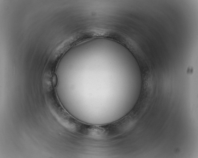 X0000114200215200910231351