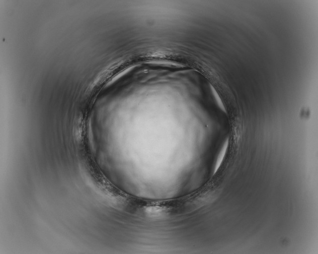 X0000114200216200910231351