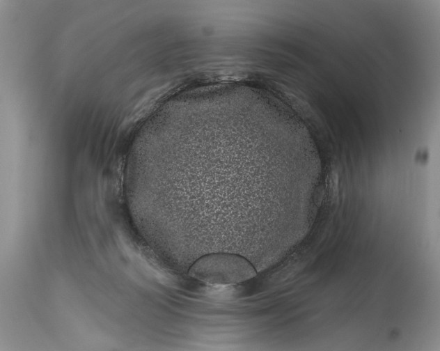 X0000114200218200910231351