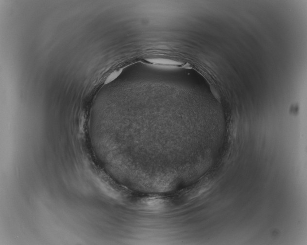 X0000114200219200910231351