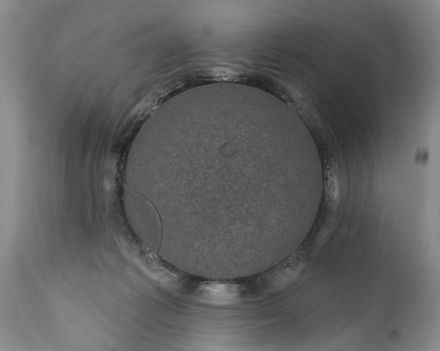 X0000114200221200910231351