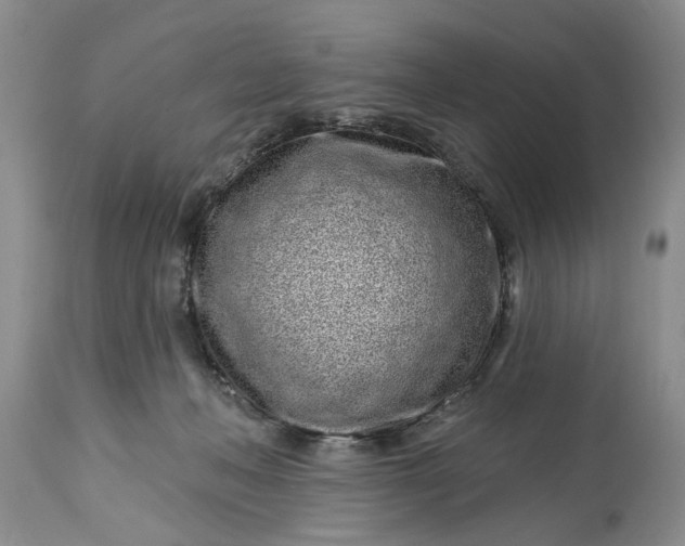 X0000114200222200910231351