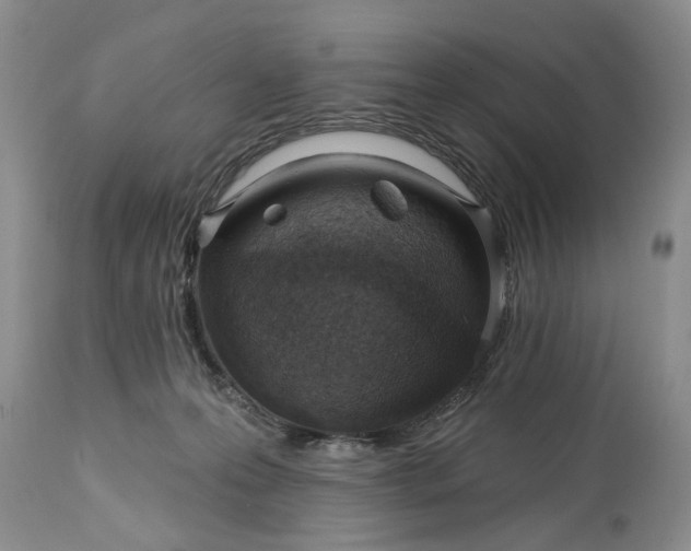 X0000114200223200910231351