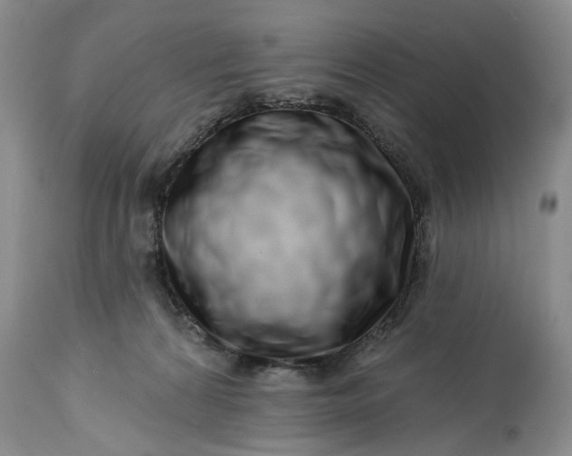 X0000114200224200910231351