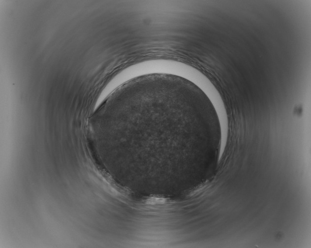 X0000114200227200910231351