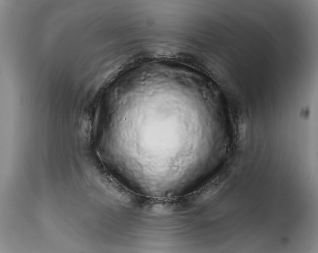 X0000114200228200910231351