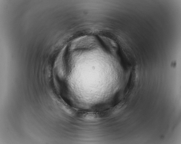 X0000114200230200910231350